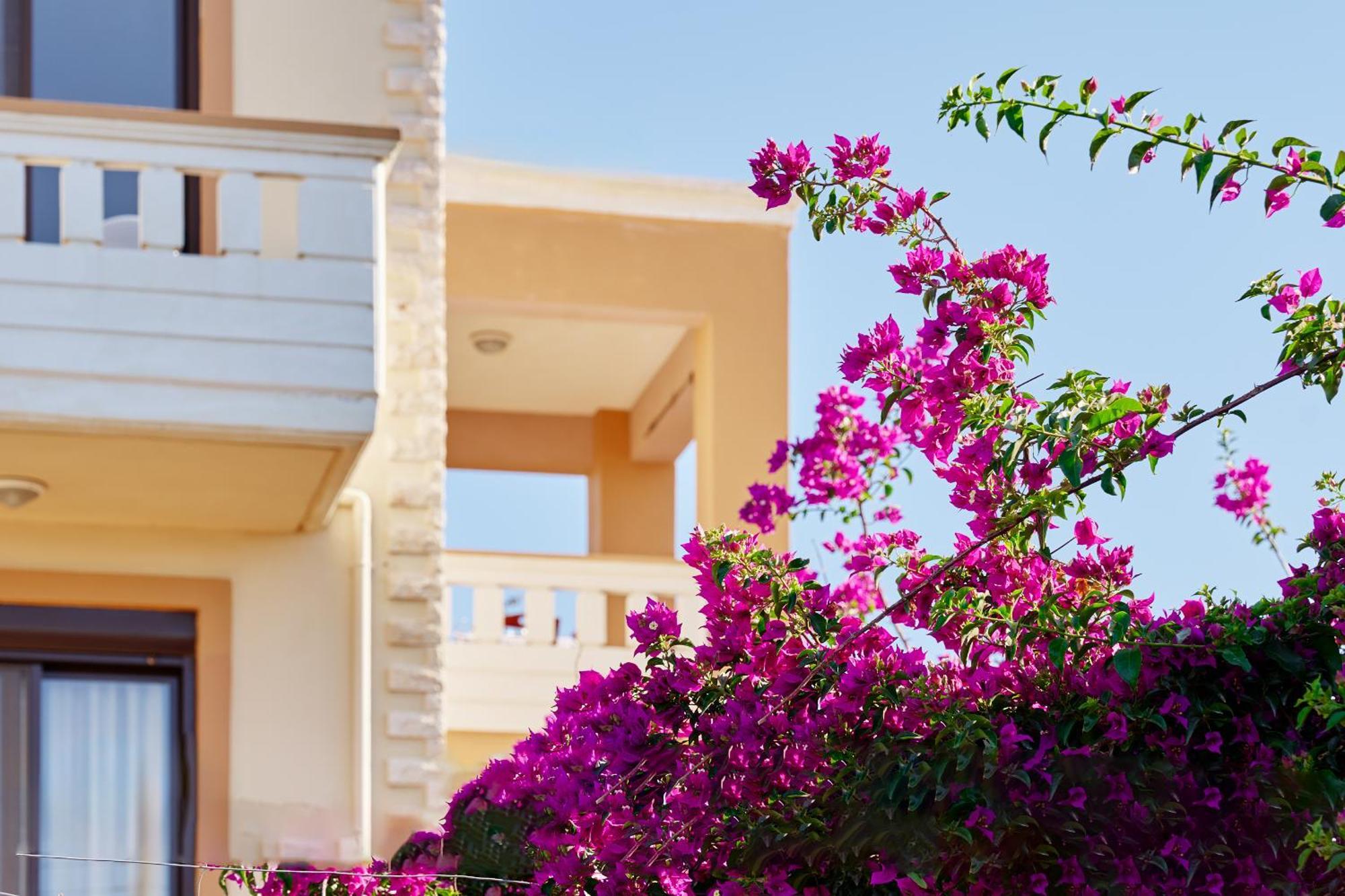 Villa Gereoudis Seaview Apartments-Pool & Bar Kolimvárion Luaran gambar